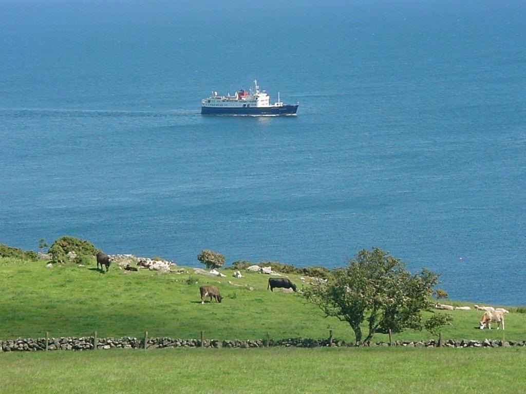 Riverside B&B Cushendall Dış mekan fotoğraf